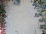 image of grave number 611263